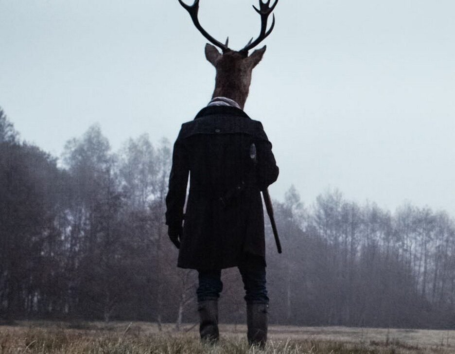 les-animaux-anonymes-1